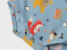 Name It mountain spring bear body